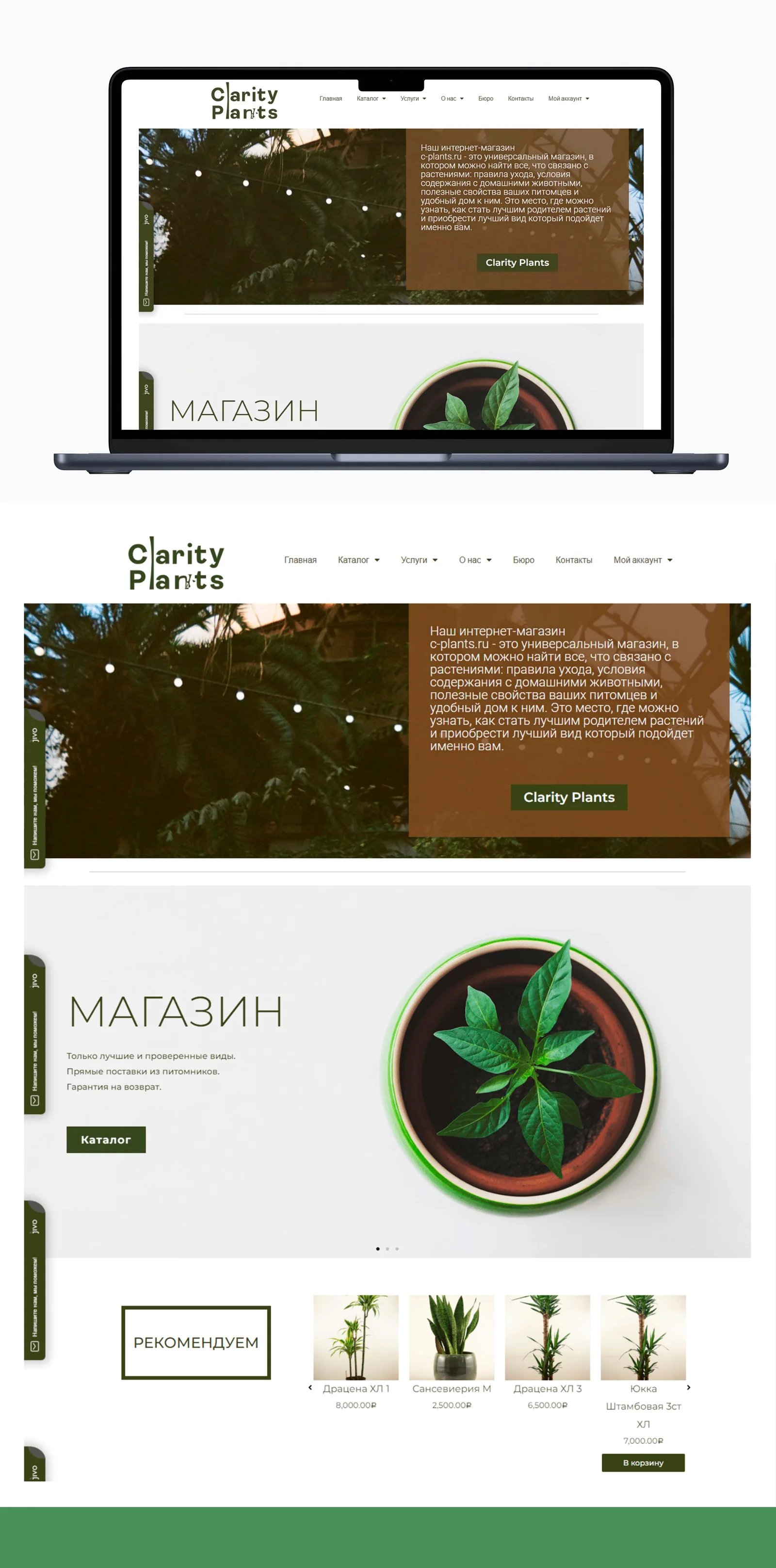 Presentación original archivada · Clarity Plants