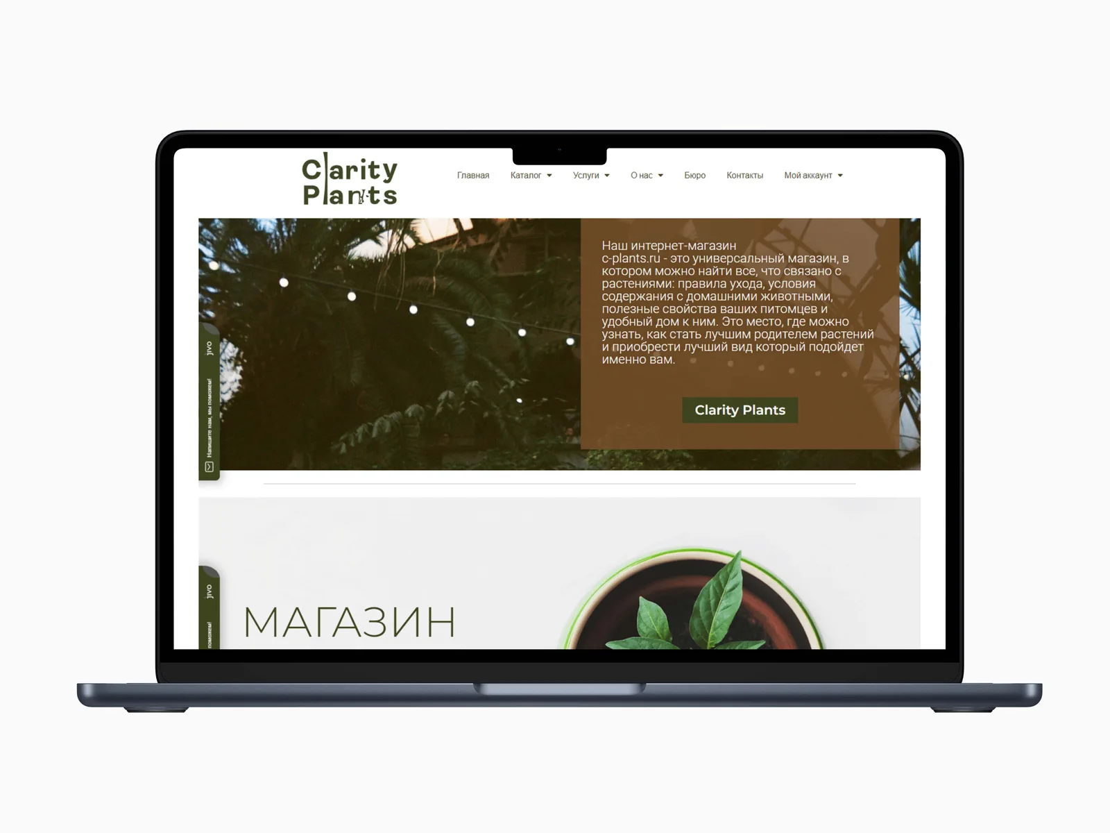 Clarity Plants — Una tienda de plantas centrada en descubrir y cuidar.