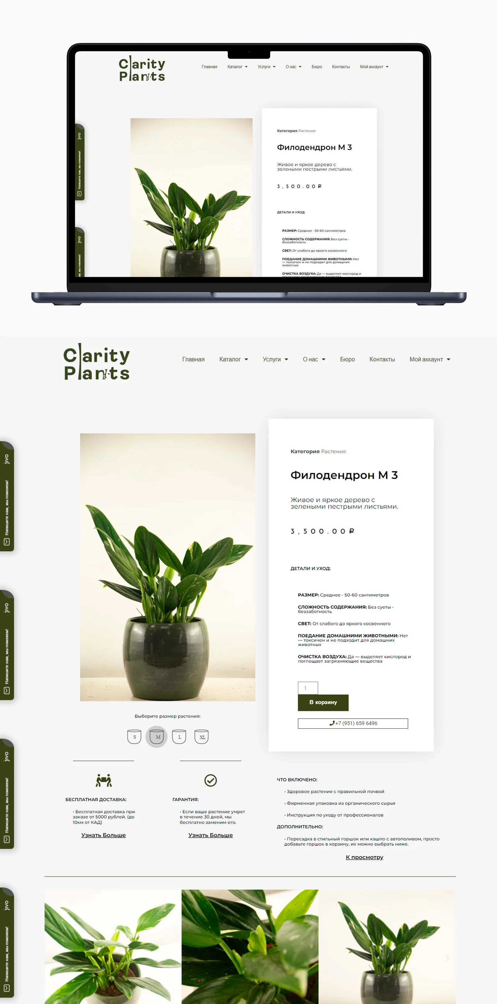 Presentación original archivada · Clarity Plants