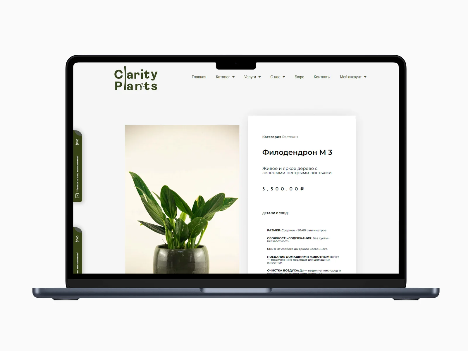 Clarity Plants