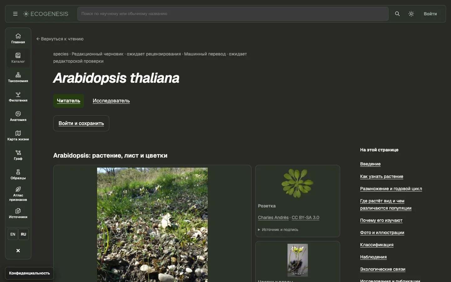 Public Arabidopsis page. Editorial-draft and review labels are preserved.